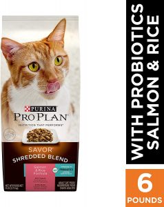 best food for cats with IBS