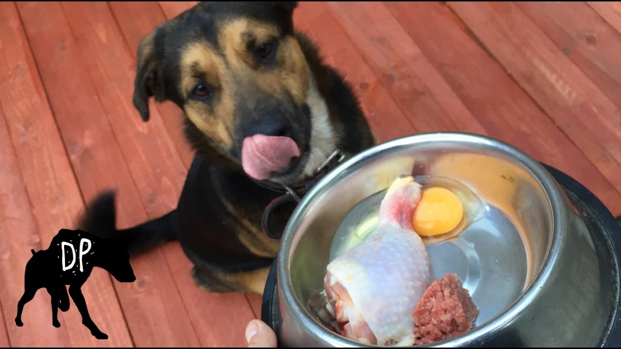 can you give dogs raw chicken