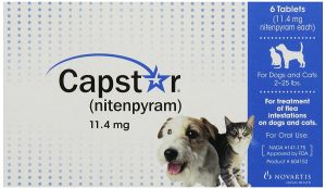 best flea pill for dogs: Capstar Flea Tablets