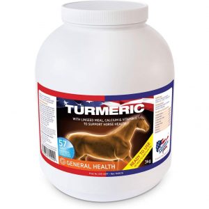 turmeric for horses