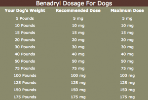 how much benadryl can you give a dog