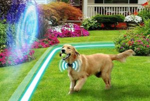 how does a wireless dog fence work