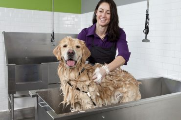 help you clean up after your dog