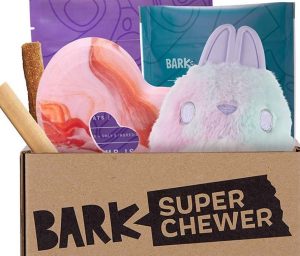 Dog Box: Super Chewer