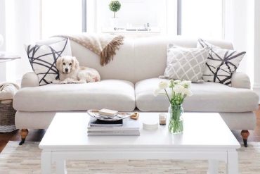best sofa for pets