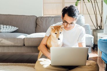 cost of pet insurance