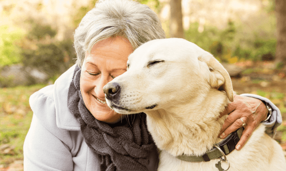Why All Seniors Should Consider Getting a Dog